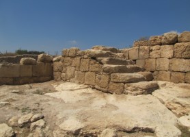 IMG_0428 (278 x 200)_20210826195800.847.jpg